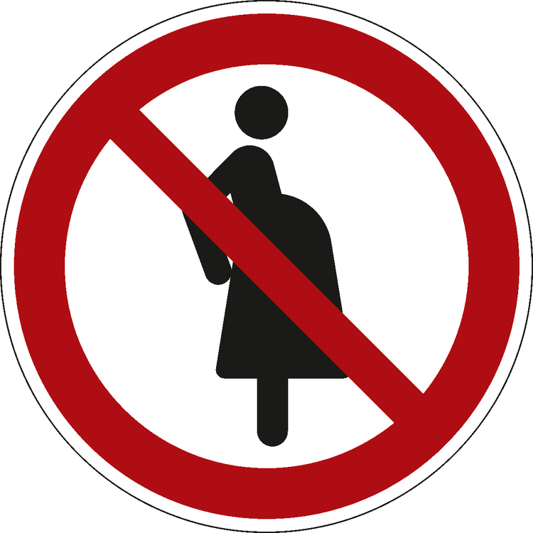 Modellbeispiel: Verbotsschild, Für Schwangere verboten (Art. 21.a6361)