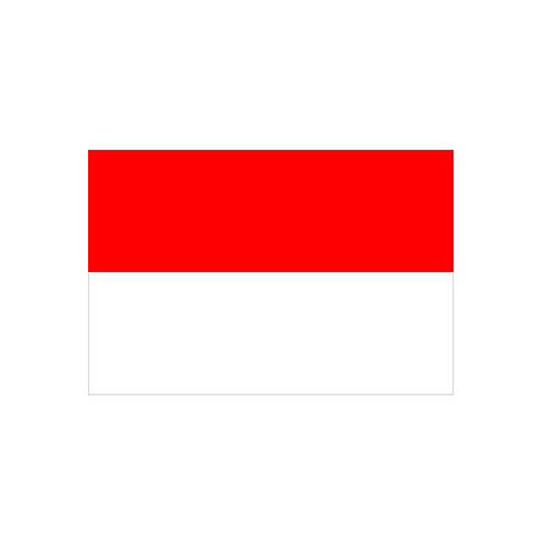 Technische Ansicht: Länderflagge Monaco
