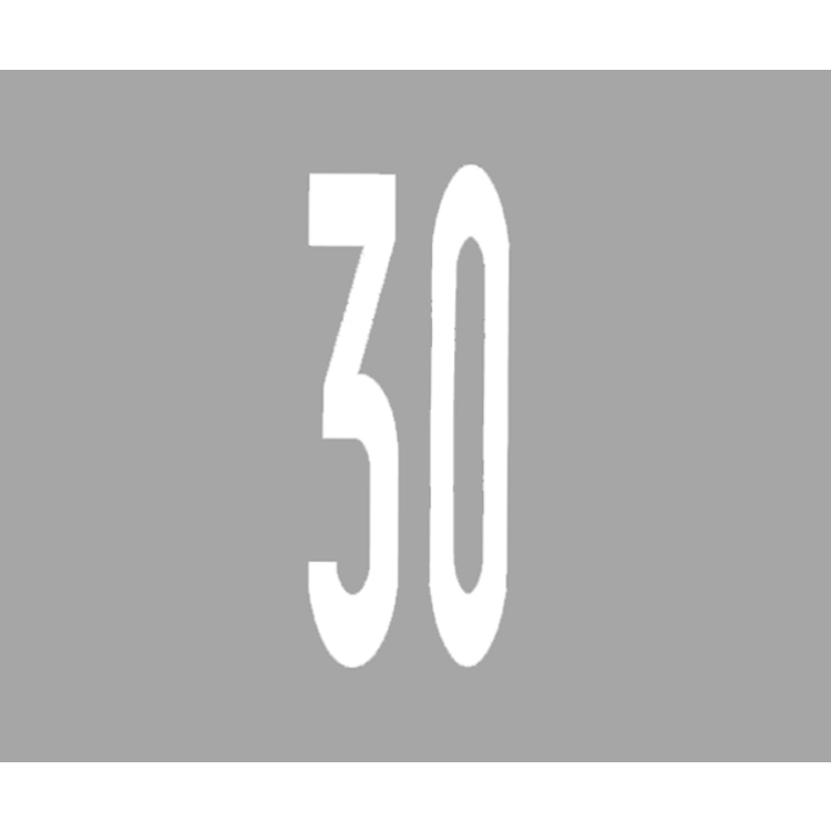 PREMARK Straßenmarkierung '30'